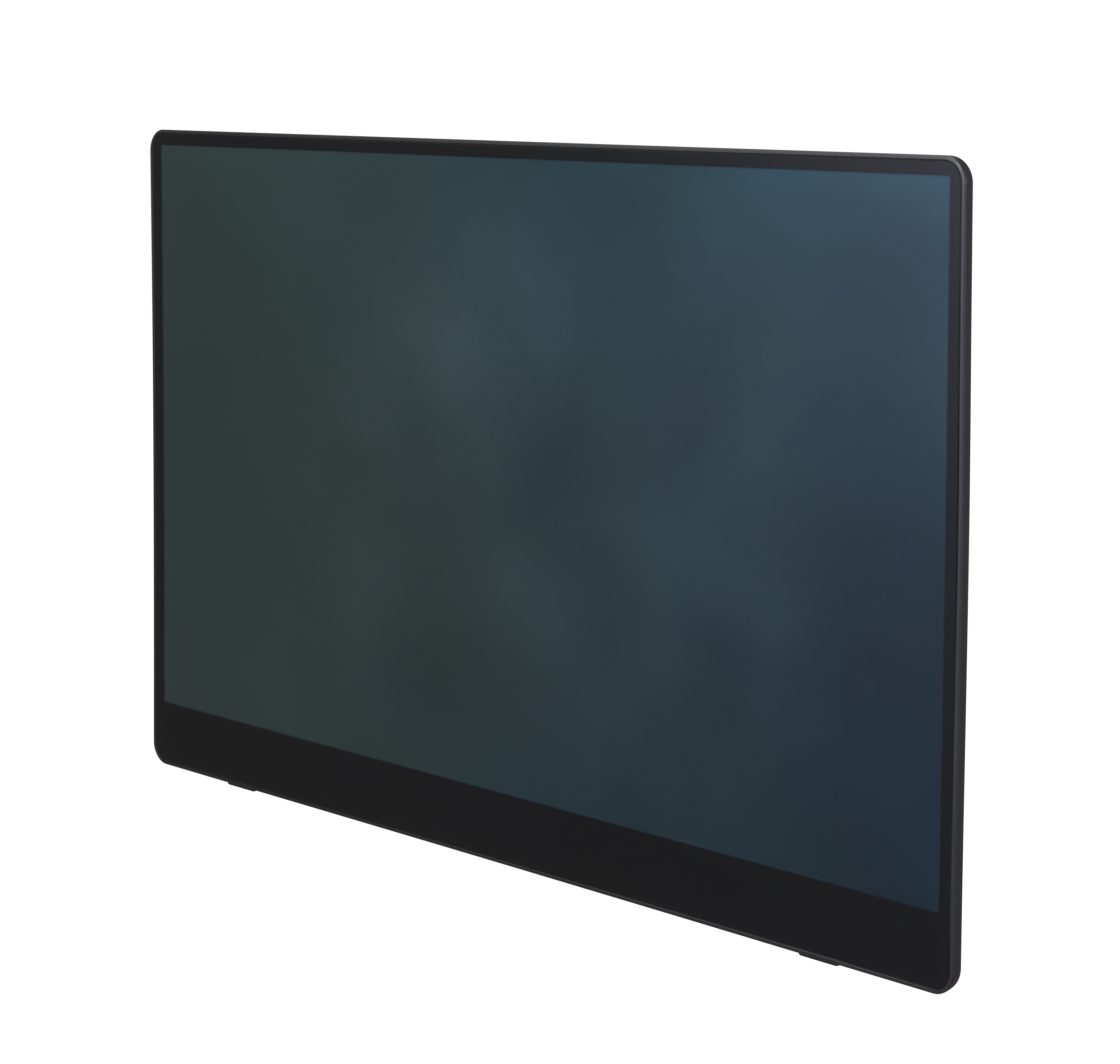 Front view of Ricoh Portable Monitor