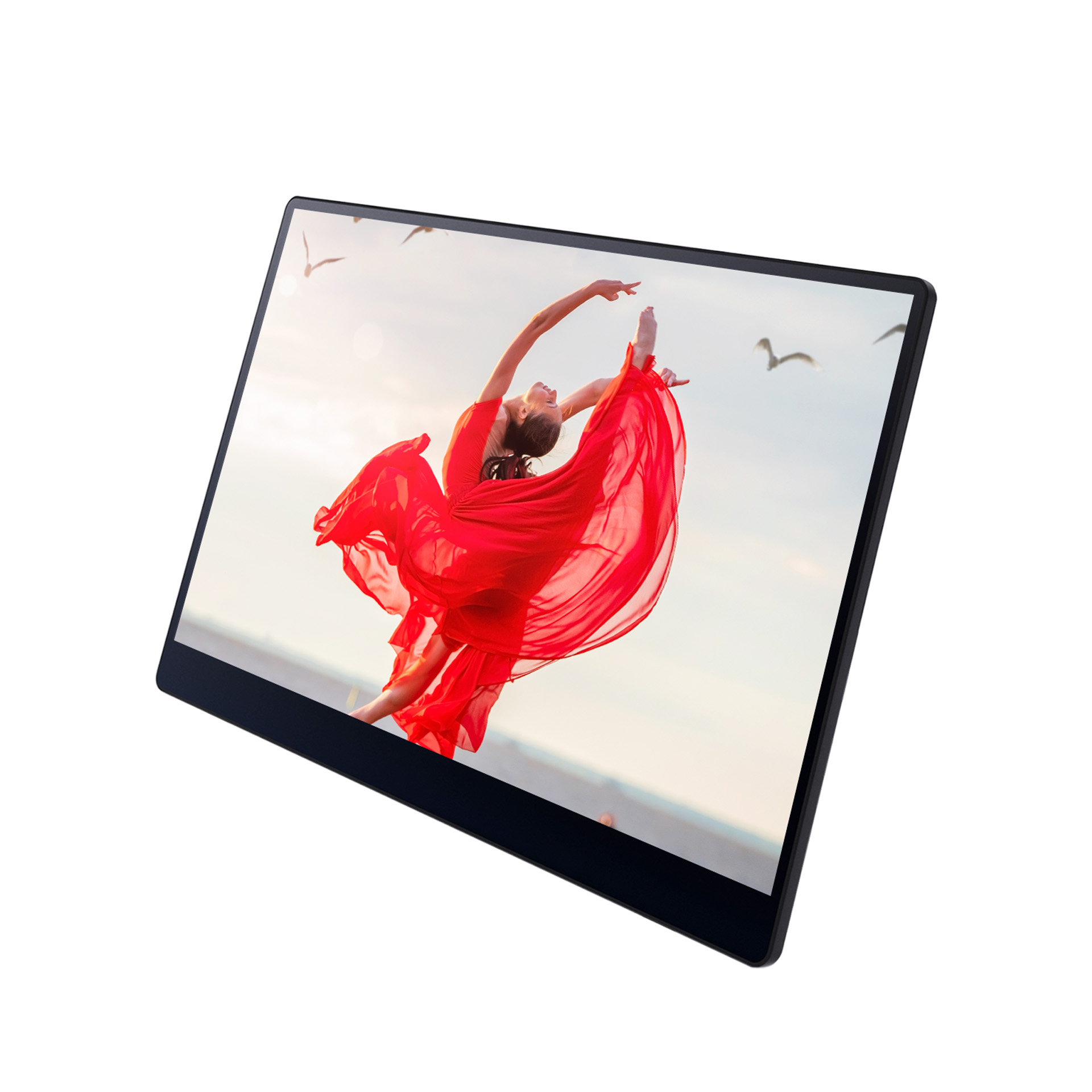 Ricoh monitor with screen image